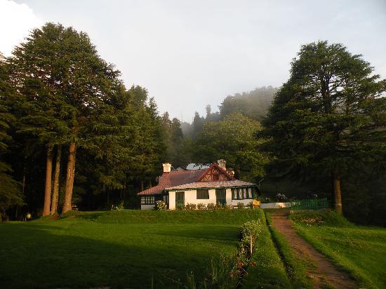 Forest Guest House Dalhousie